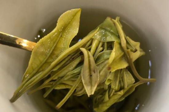 新舊白茶怎么區(qū)分，怎么分辨白茶是新還是舊