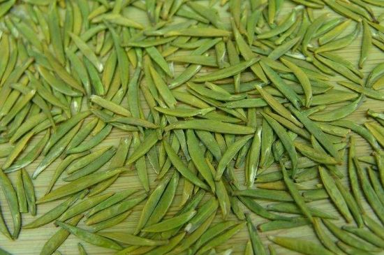 竹葉青和毛尖的區(qū)別，毛尖和竹葉青怎么分辨？