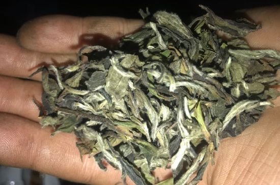 7年壽眉和2年白牡丹哪個好，老白茶壽眉與白牡丹的口感區(qū)別