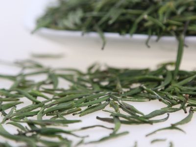 霍山黃芽算是好茶嗎，霍山黃芽屬于什么茶？