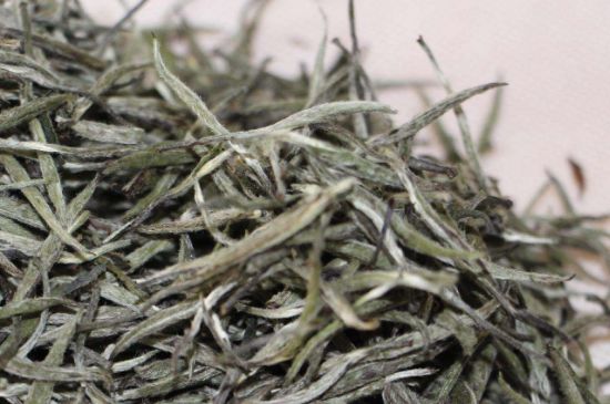 什么人不能喝白茶，白茶不宜什么人喝？