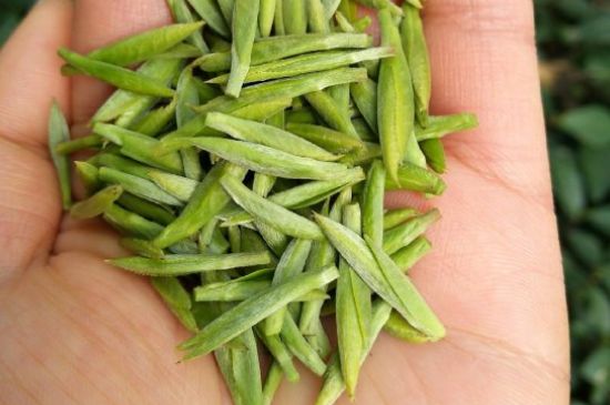 什么綠茶味道濃香，那個綠茶比較濃香？