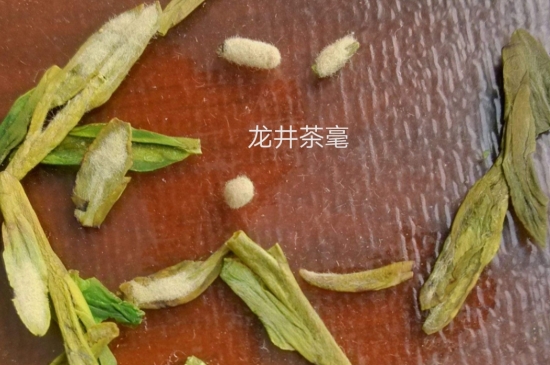 西湖龍井茶毫和發(fā)霉區(qū)別圖片，長霉的龍井茶葉會是什么樣？