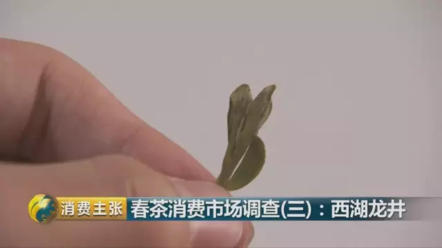 龍井群體種和43號的區(qū)別圖片，龍井43和群體種哪個好喝？