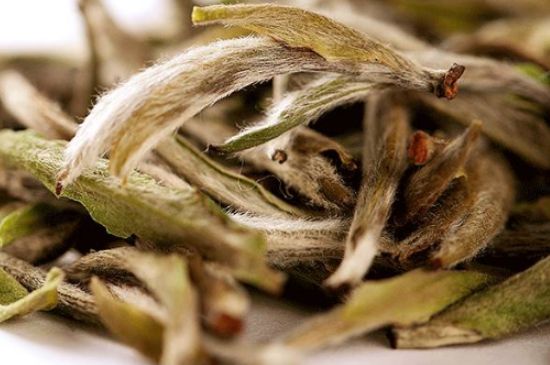 荒野銀針有什么特點(diǎn)，荒野銀針的味道口感咋樣？