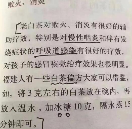 老白茶上火還是去火？夏季喝煮的老白茶會容易上火！