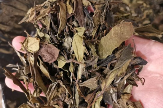 新舊白茶怎么區(qū)分，怎么分辨白茶是新還是舊