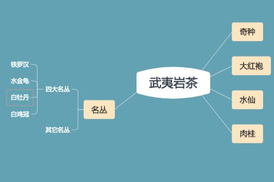 武夷巖茶品種大全，巖茶有幾種？