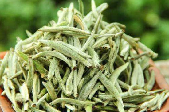 白毫銀針年份越久越好嗎，銀針白毫是否越陳越好