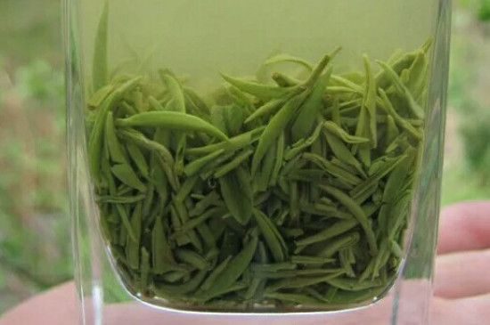 什么綠茶茶葉唇齒留香，哪個品種綠茶香氣好？