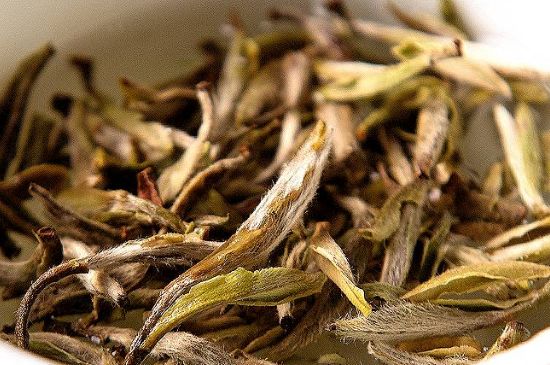 荒野銀針市場價多少，真正的荒野白毫銀針多少錢？