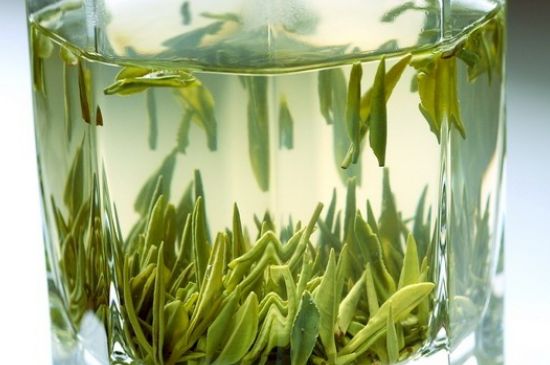 竹葉青和雀舌哪個貴，竹葉青茶貴嗎？