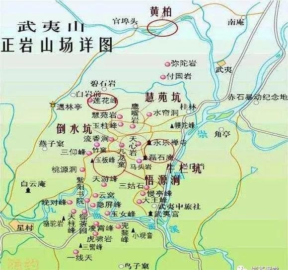 肉桂茶和大紅袍哪個(gè)貴，武夷山肉桂與大紅袍的價(jià)格比較