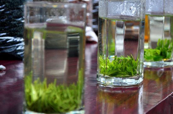 綠茶放了三年還能喝嗎，綠茶放久了喝了會怎樣