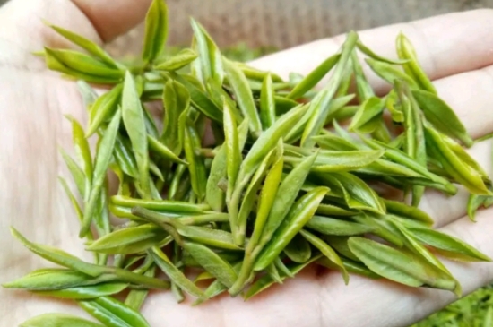 什么是雪前龍井茶，明前、雨前、雨后龍井有什么區(qū)別？