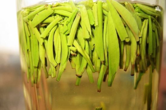 雀舌為何喝著是苦的，雀舌味道怎么那么苦澀？